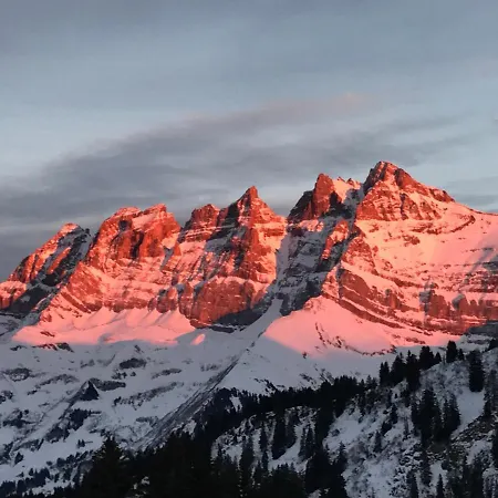 Apartment Swiss Mountain Escape